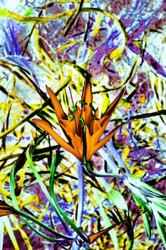 F 039E